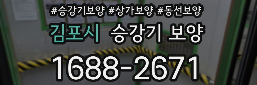 김포시 승강기 보양