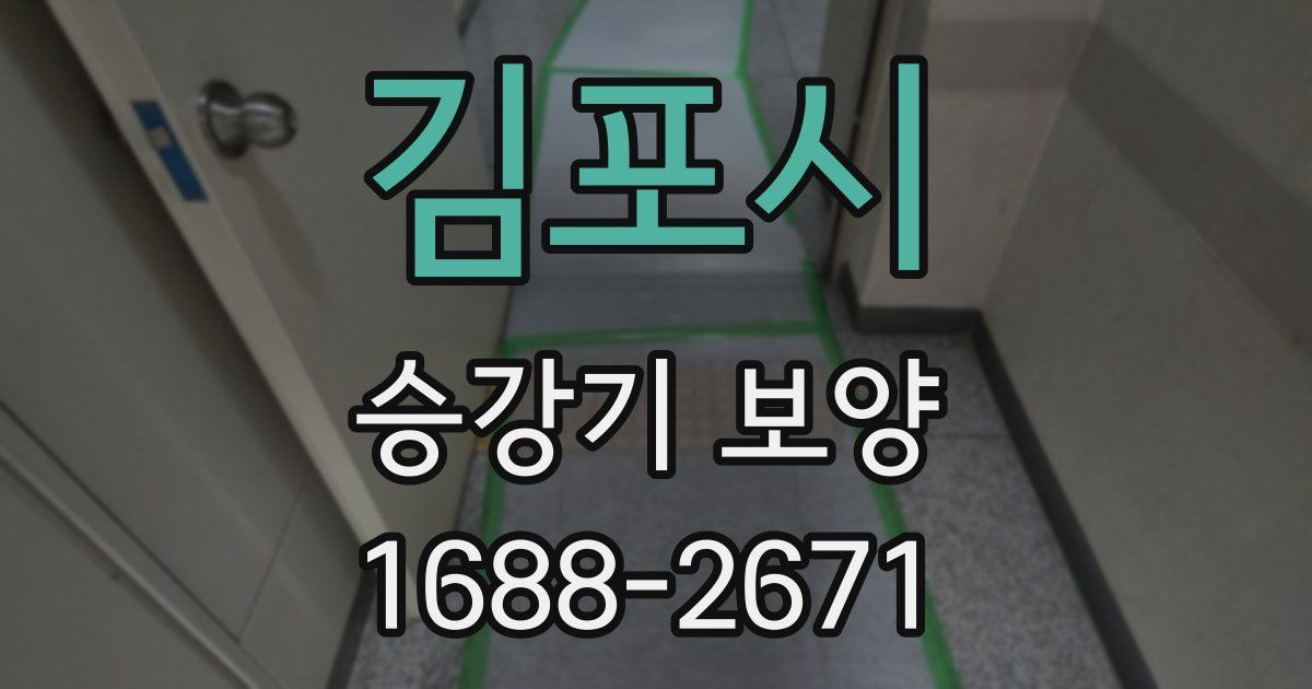 김포시 승강기 보양