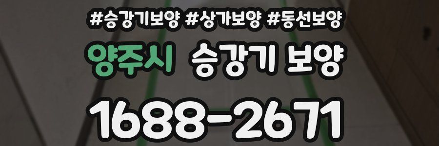 양주시 승강기 보양