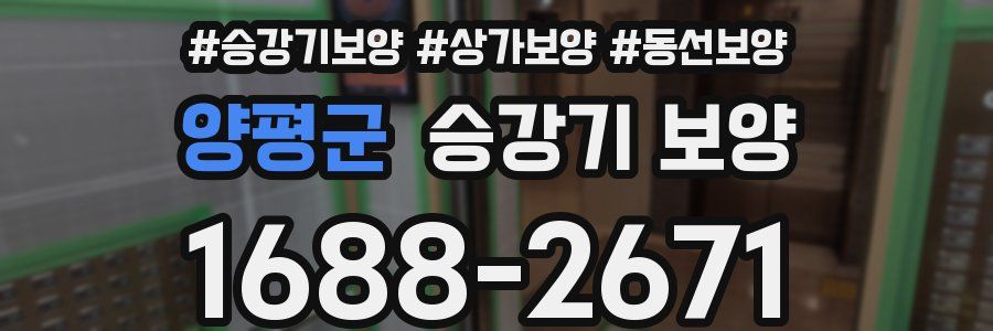 양평군 승강기 보양