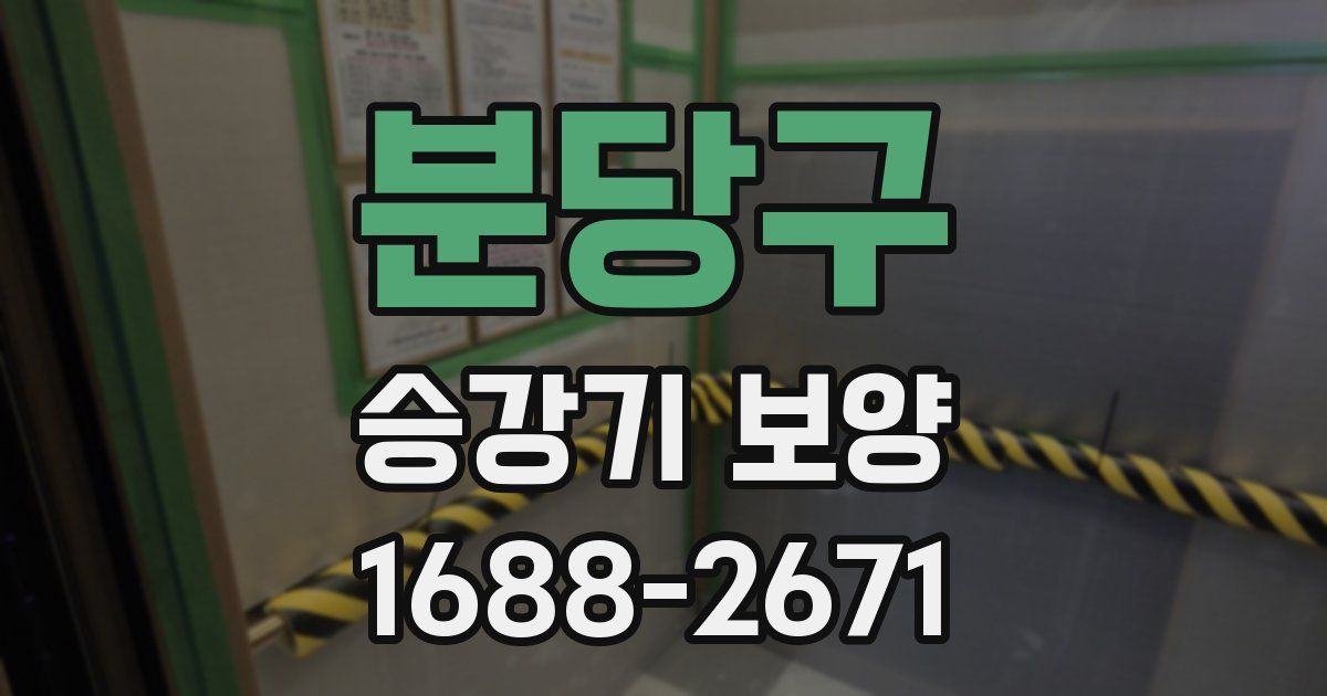 분당구 승강기 보양