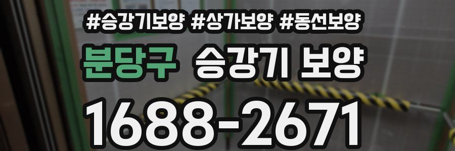 분당구 승강기 보양