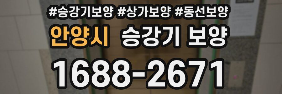 안양시 승강기 보양