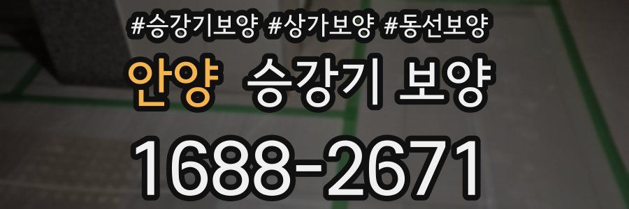 안양 승강기 보양
