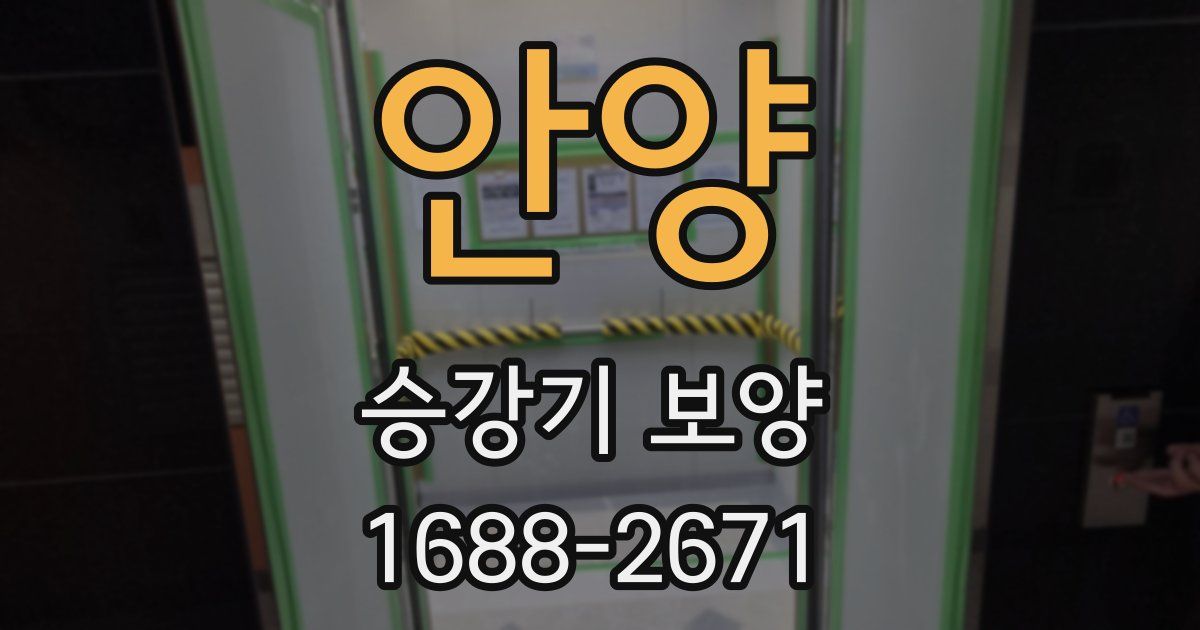 안양 승강기 보양
