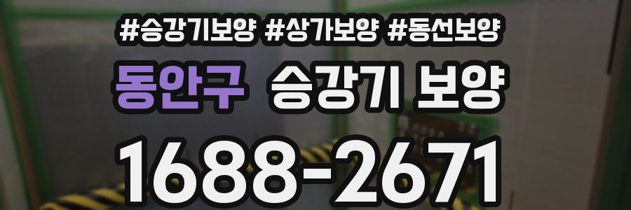 동안구 승강기 보양