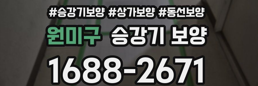 원미구 승강기 보양