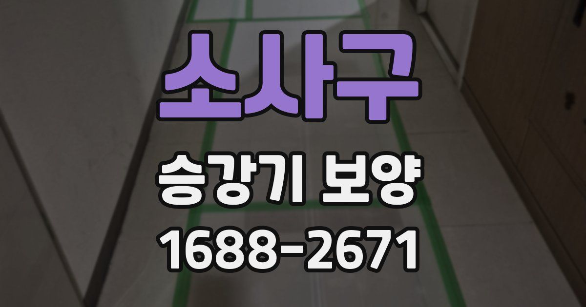소사구 승강기 보양
