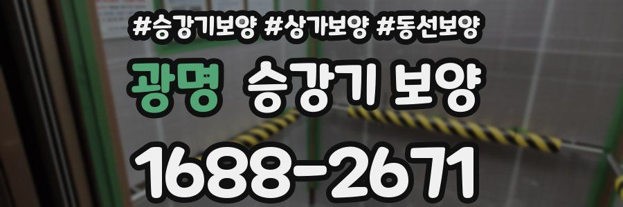광명 승강기 보양