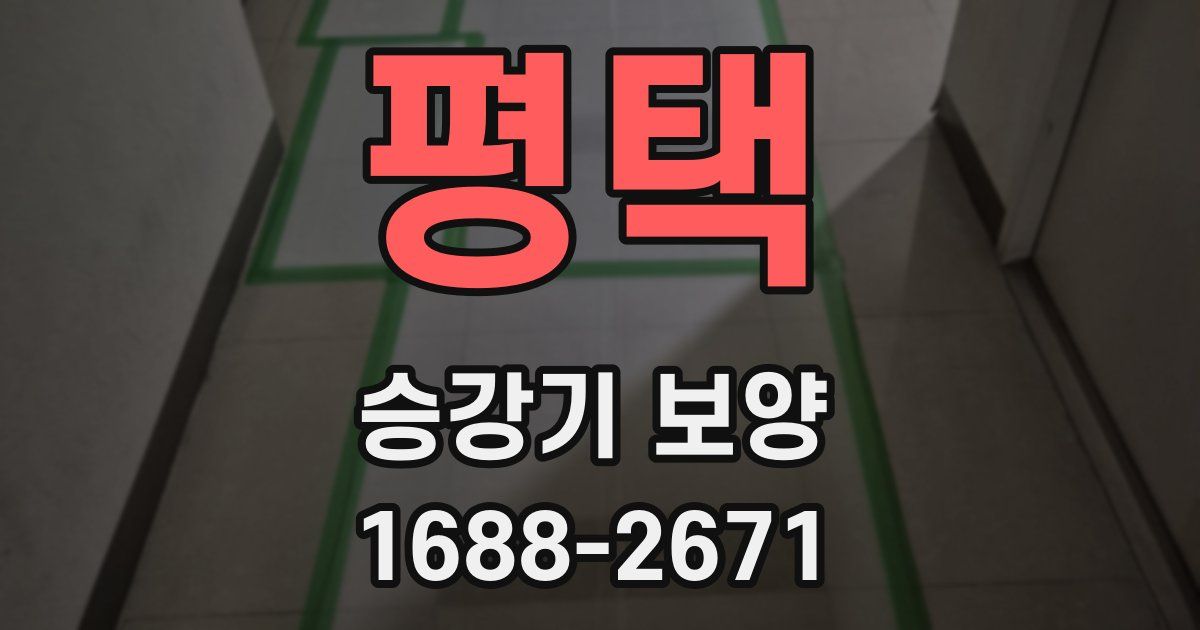 평택 승강기 보양