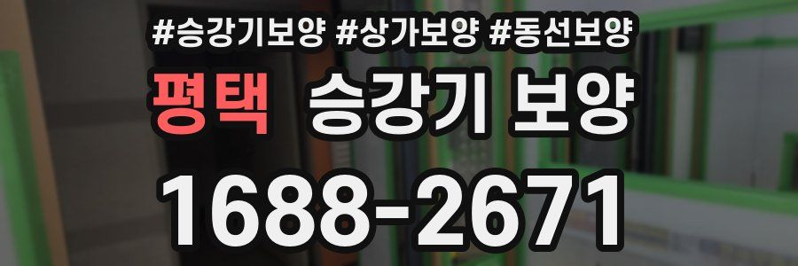 평택 승강기 보양