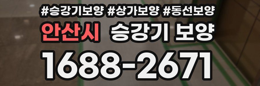 안산시 승강기 보양