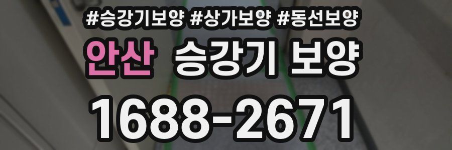 안산 승강기 보양