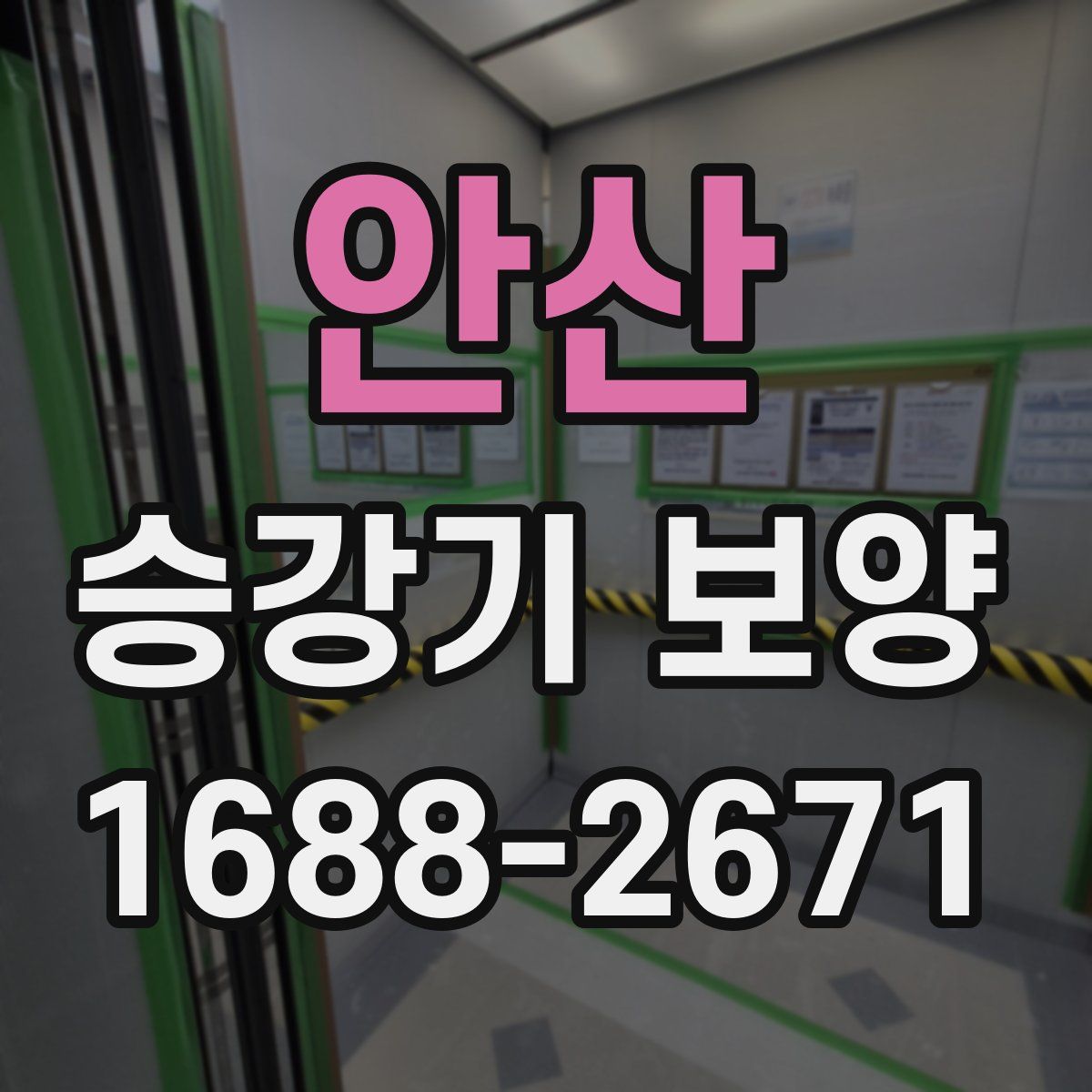 안산 승강기 보양