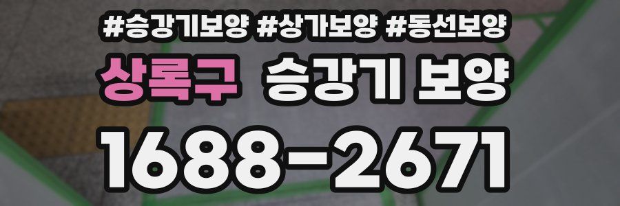 상록구 승강기 보양