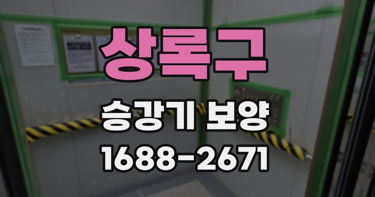 상록구 승강기 보양