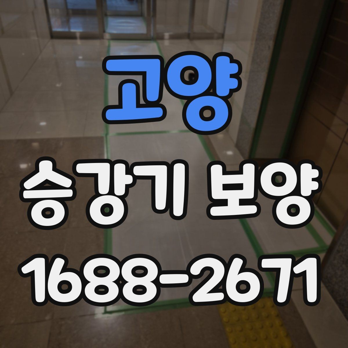 고양 승강기 보양 대상과 범위를 정하는 기준