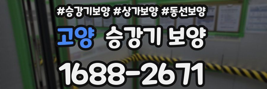 고양 승강기 보양