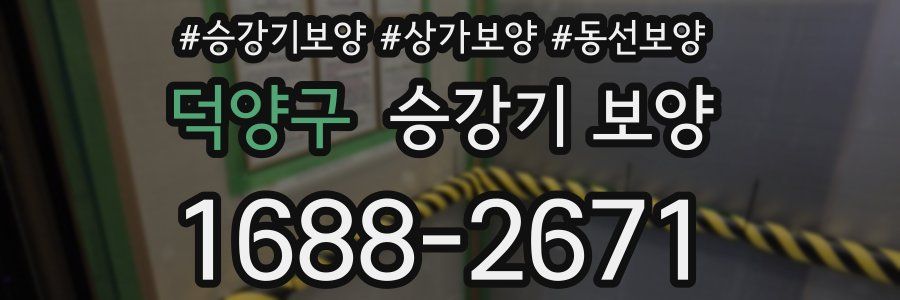덕양구 승강기 보양