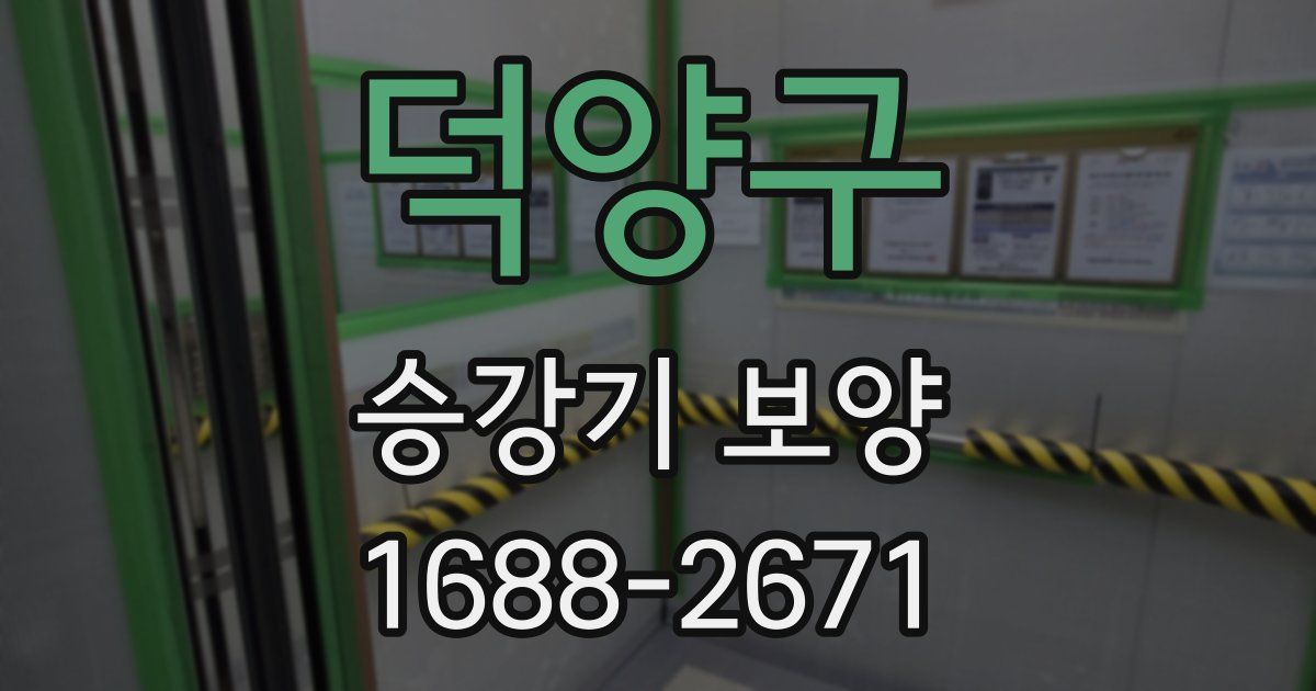 덕양구 승강기 보양