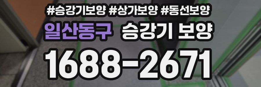 일산동구 승강기 보양