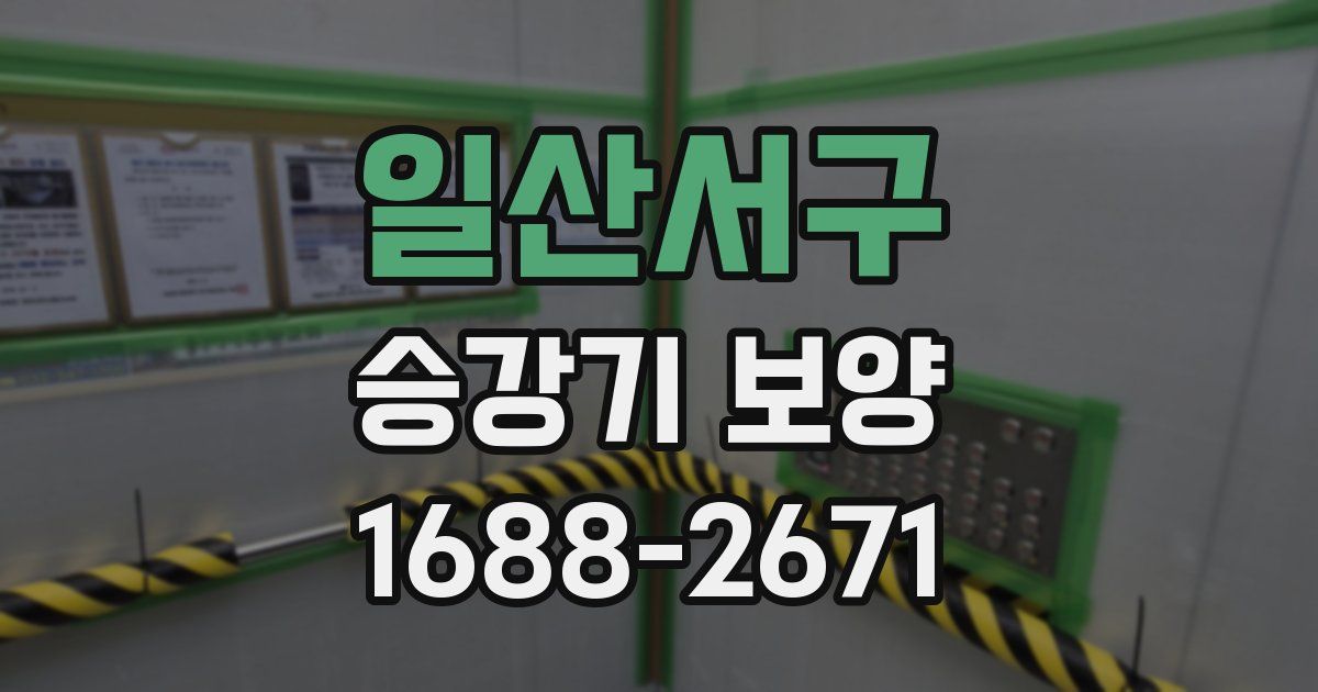 일산서구 승강기 보양