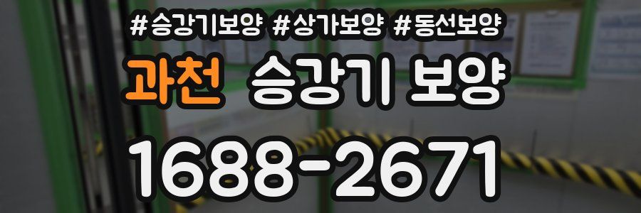 과천 승강기 보양