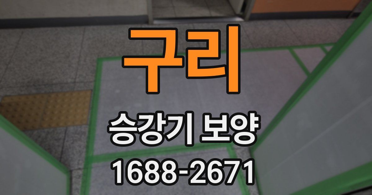 구리 승강기 보양