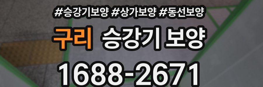 구리 승강기 보양