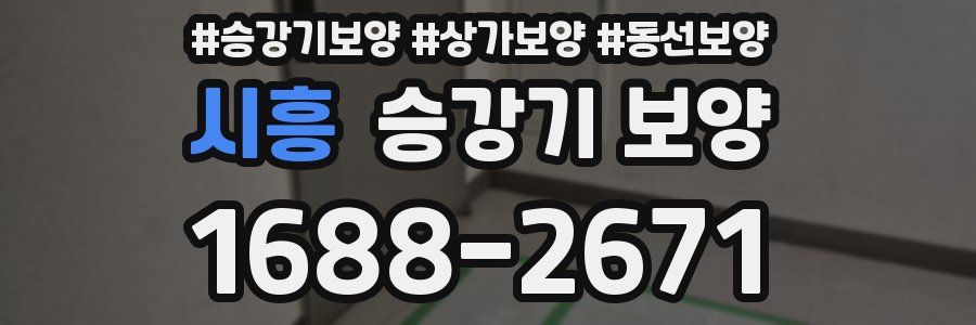 시흥 승강기 보양