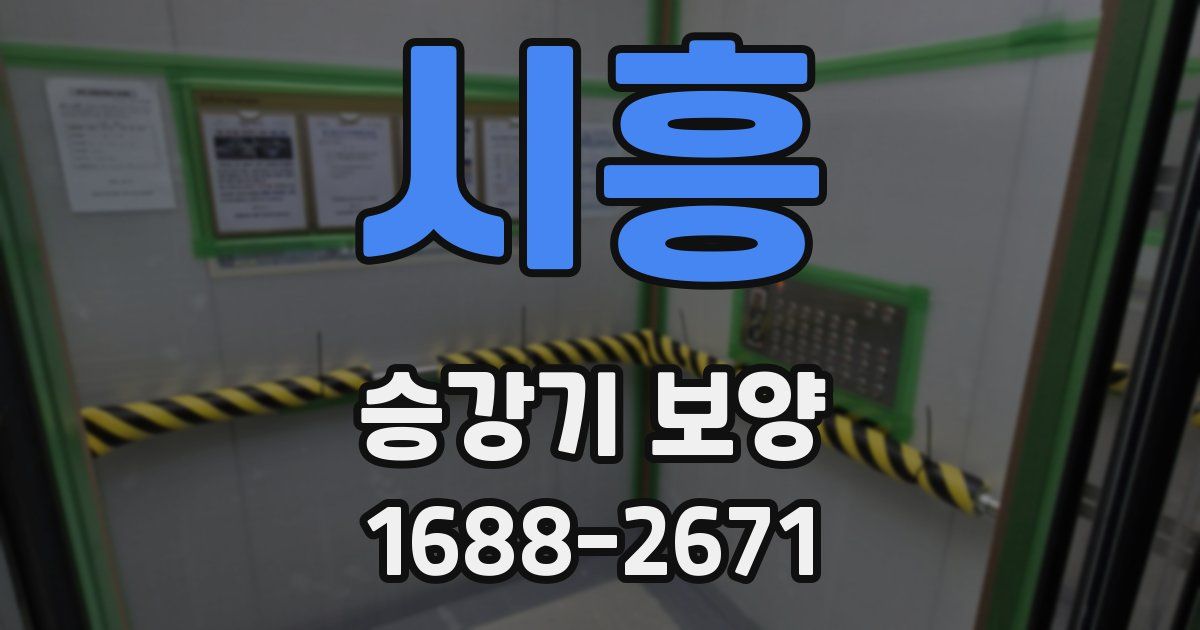 시흥 승강기 보양