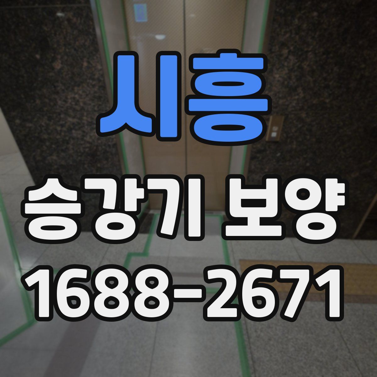시흥 승강기 보양