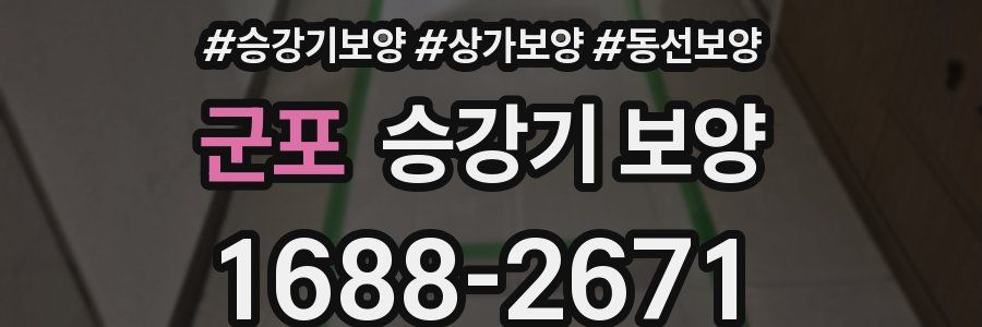 군포 승강기 보양