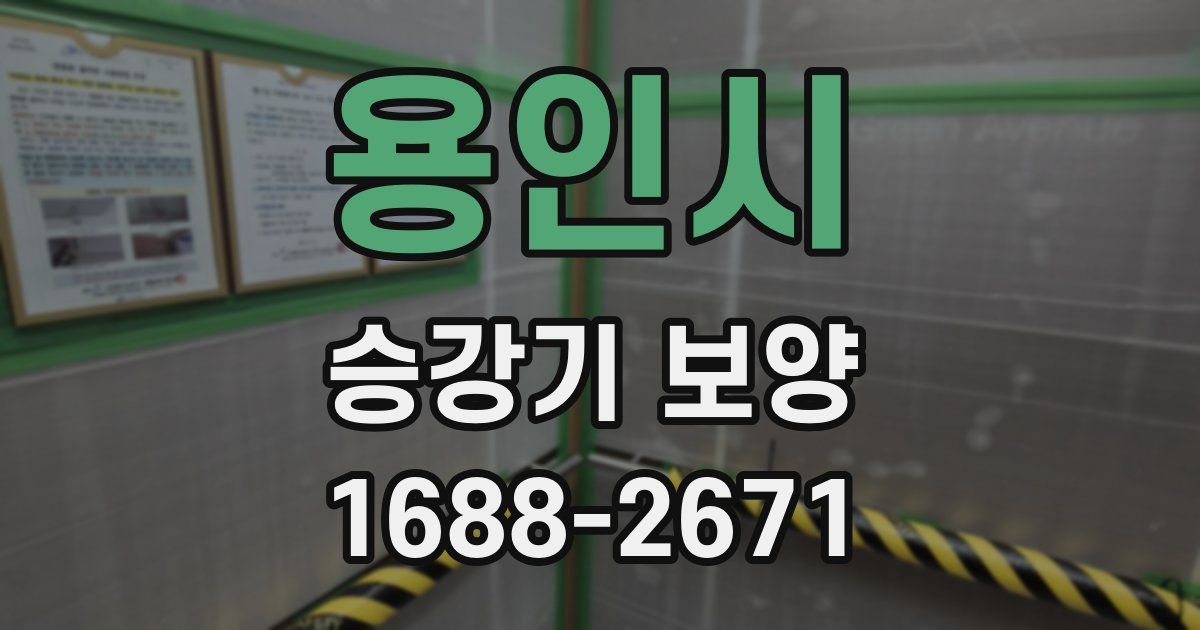 용인시 승강기 보양