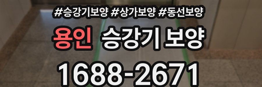 용인 승강기 보양