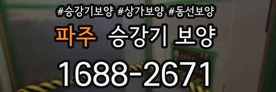 파주 승강기 보양