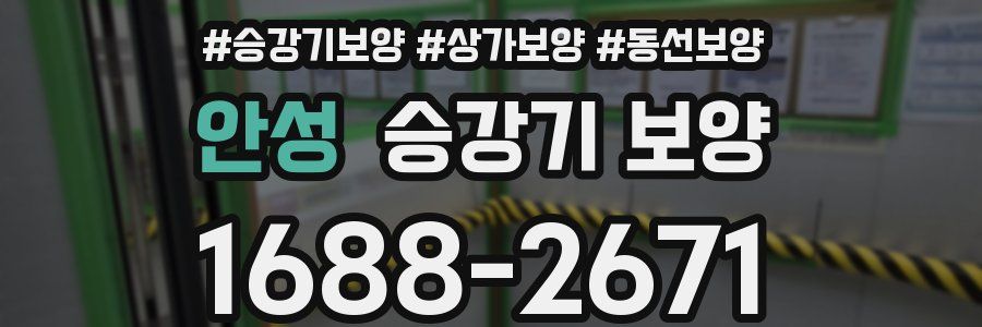 안성 승강기 보양