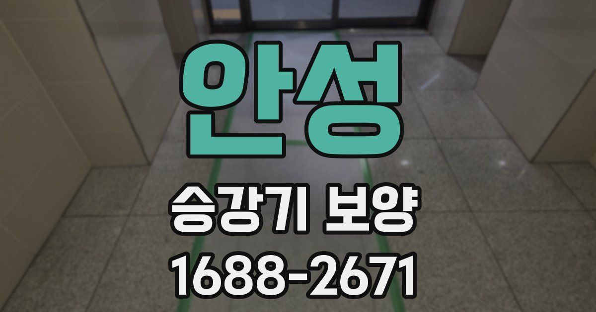 안성 승강기 보양
