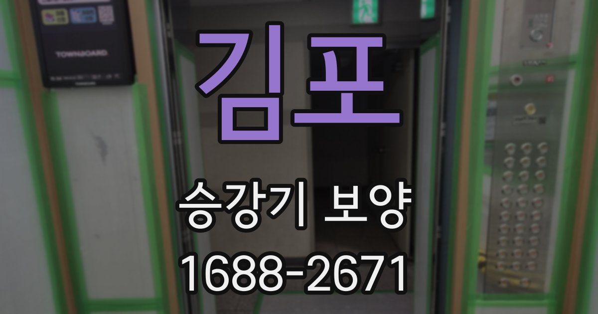김포 승강기 보양