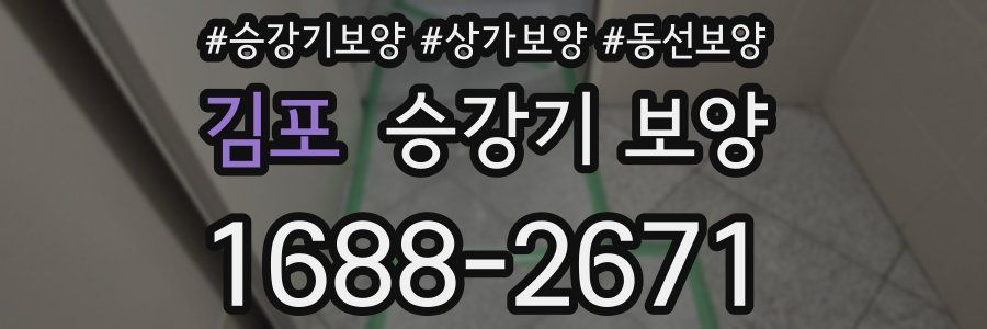 김포 승강기 보양