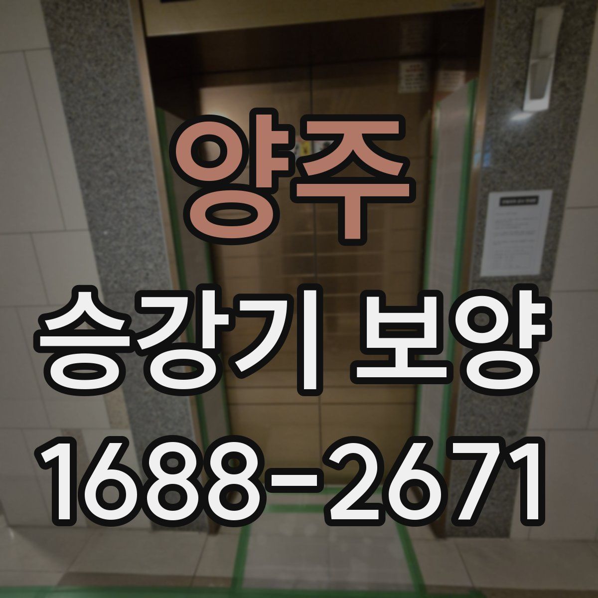 양주 승강기 보양