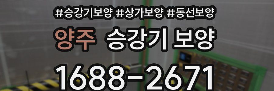 양주 승강기 보양
