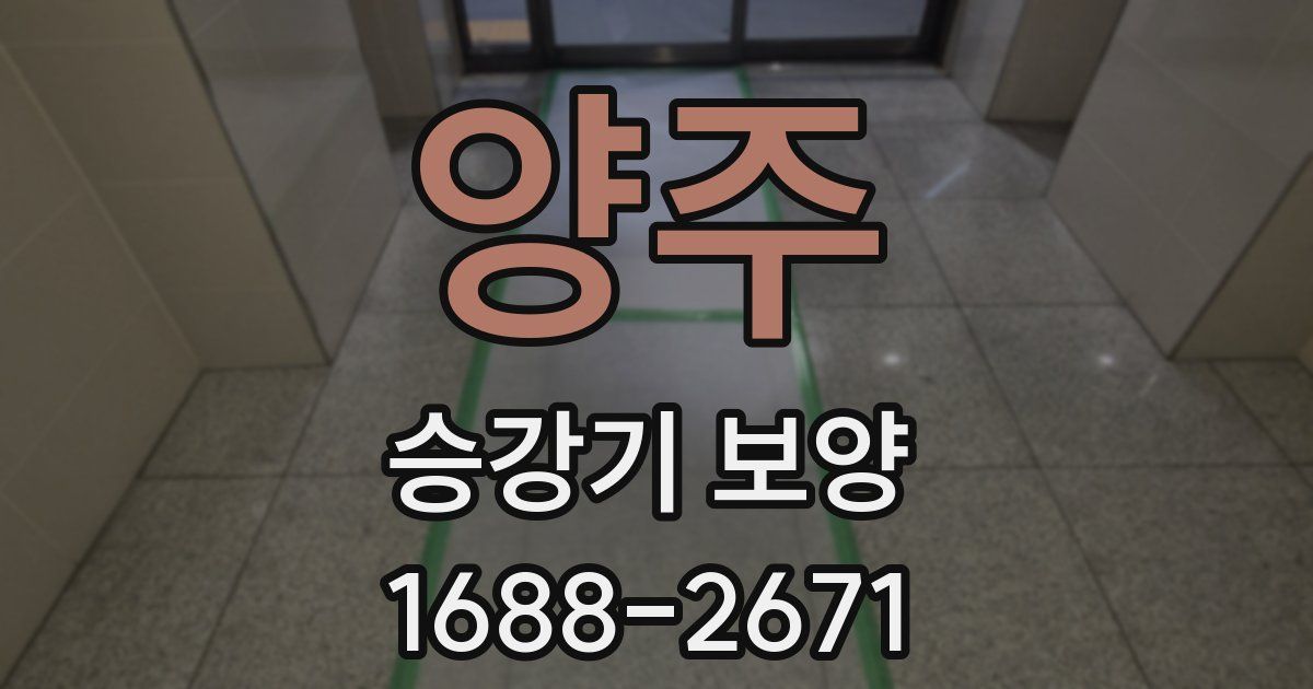 양주 승강기 보양