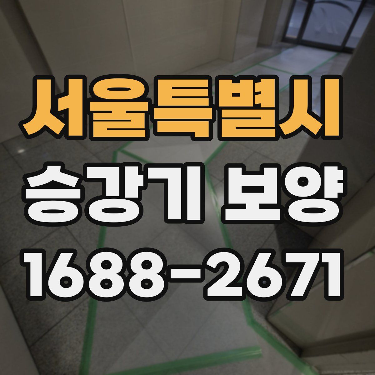 서울특별시 승강기 보양