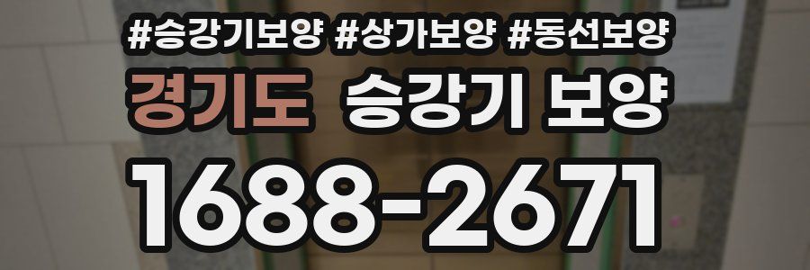 경기도 승강기 보양