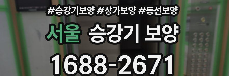 서울 승강기 보양