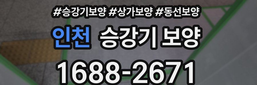 인천 승강기 보양