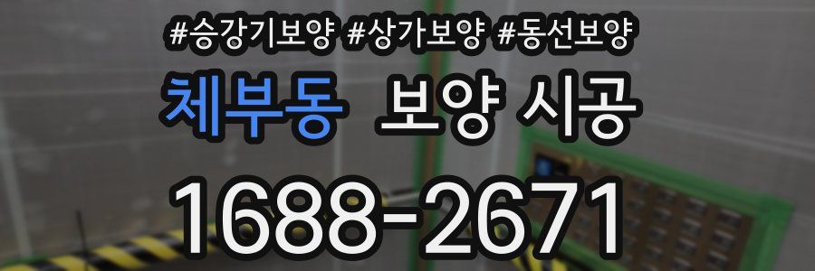 체부동 보양 시공