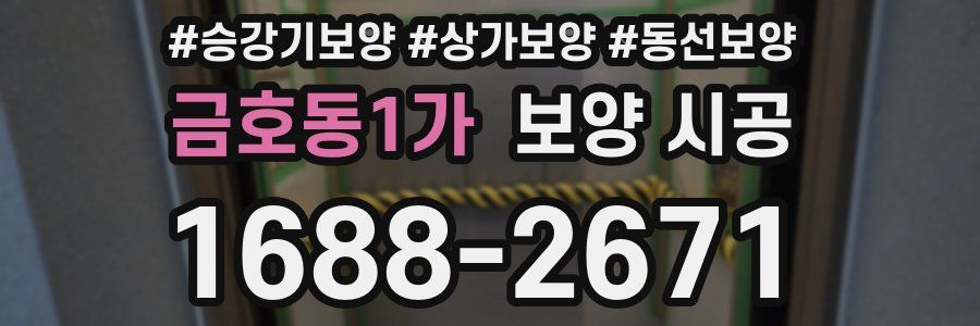 금호동1가 보양 시공