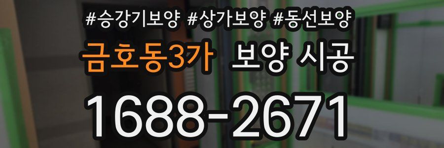 금호동3가 보양 시공